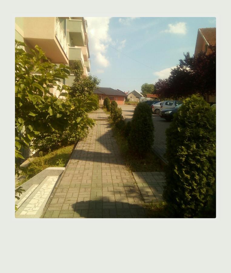 Studio Dunja Vrnjačka Banja Exterior foto